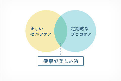 佐賀市の歯医者、佐賀ん歯科・こども歯科の特徴