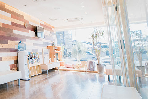 佐賀市の歯医者、佐賀ん歯科・こども歯科がはじめての方へ