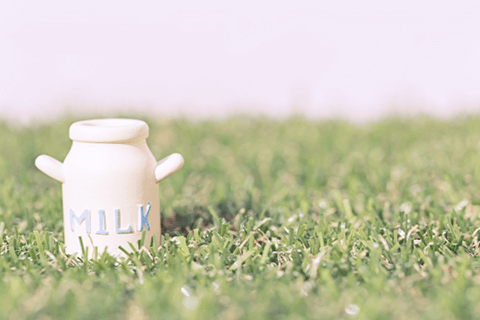 佐賀市の歯医者、佐賀ん歯科・こども歯科のマタニティ歯科外来