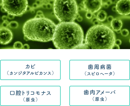佐賀市の歯医者、佐賀ん歯科・こども歯科で歯周病治療